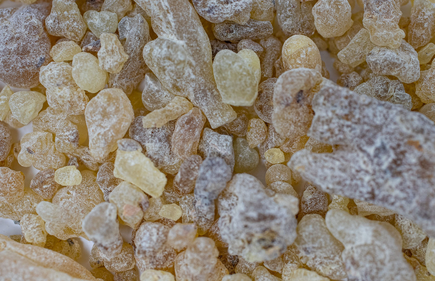 Extreme close up of Boswellia Carterii Resin
