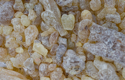 Extreme close up of Boswellia Carterii Resin