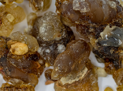 Extreme close up of Black Hojary Boswellia resin