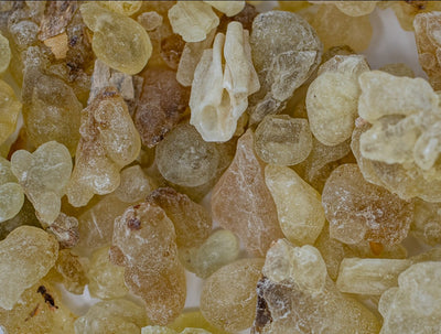 Extreme close up of Green Hojary Boswellia Resin