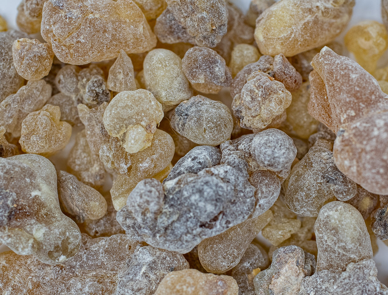 Extreme close up of Red Hojary Boswellia Resin